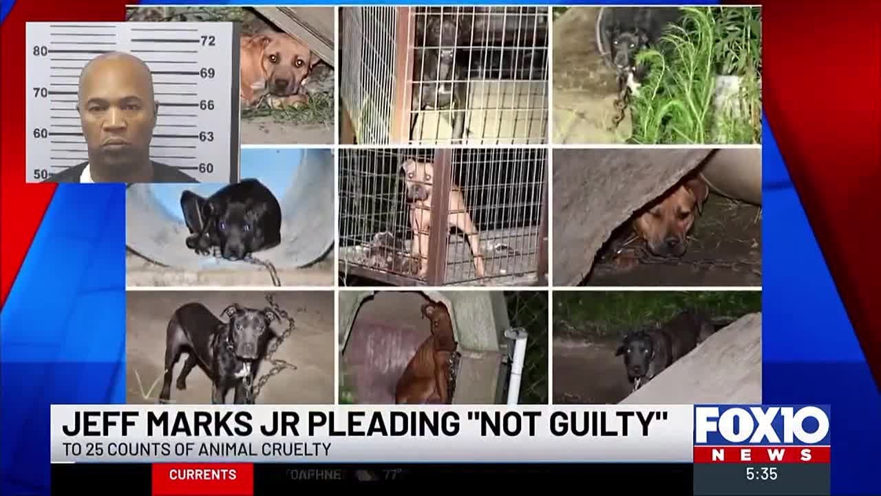 Axis man pleads not guilty to animal cruelty charges - YouTube