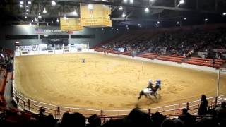 Houston Rodeo 2013 - Riding and Shooting Championships