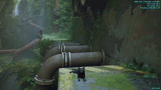 [PS4] Stray - Luna w/Download Link [PKG]