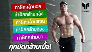 7 ท่าที่ดีที่สุด สร้างกล้ามไม่ใช้อุปกรณ์ โดนทุกส่วน! - Youtube