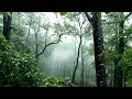 distant morning bird calls for an immersive ASMR feel #shorts #shortvideo #aishorts