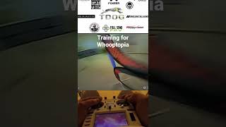 Whooptopia Day 12
Whooptopia Day 12 Whooptopia Day 12