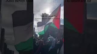 Gham Ho Gaye Beshumar” — a soulful naat by Ghulam Mustafa Qadri #freepalestine #freegaza