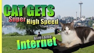 Cat Gets High Speed Internet Explained. The Cat Watches Netflix And Now He Gets It Faster! by BellinghamsterTrail 139 views 8 years ago 2 minutes, 55 seconds