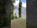 Somewhere at Moist Temperate Forest above 4000m+ at Gilgit State North Pakistan #mountains #nature
