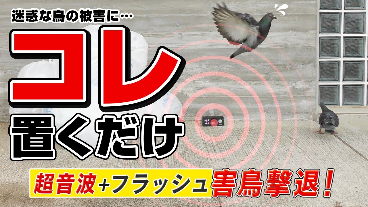日本直販 公式チャンネル】迷惑な鳥にさようなら！ソーラー式 鳥しっし