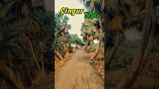 Singur Viral Taltola...#hooghly #singur #westbengal #trending #cinamatography #viral #instagram