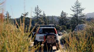 After Work Campout Near Home | ASMR Solo CR-V Camping