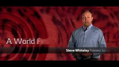 Chain of Custody for wood and timber products