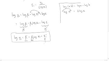 The log-log model