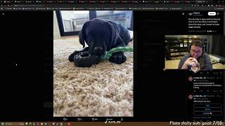Flats gives some updates on his new puppy
