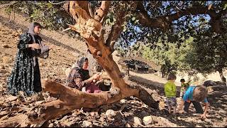 Narges and the young village girls gathering firewood on an autumn day 🍂🪵👩‍🌾🌳🍁
