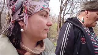 Наше путешествие по лесу в поисках грибов.Подробное видео на Яндекс Дзен.
