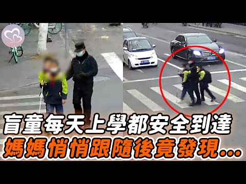 盲童每天上學都能安全到達，媽媽覺好奇悄悄跟隨，不料竟發現意外一幕...#暖心 #暖心故事 #正能量 #淚目 #生活 #溫暖 #社會新聞  #感動 #暖心時刻