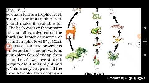 Class X Science 04-01-2022 by Ms Mridulata Upadhyay Our environment
