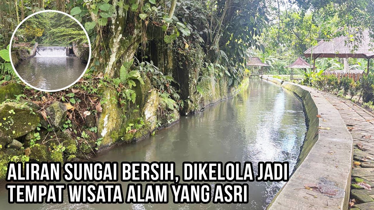 Aliran Sungai Bersih, Dikelola, Jadi Wisata Alam yang Asri di Pedesaan Banyuwangi