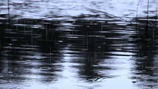 Kumpulan Lagu Reggae Paling Enak Didengar Saat Santai”