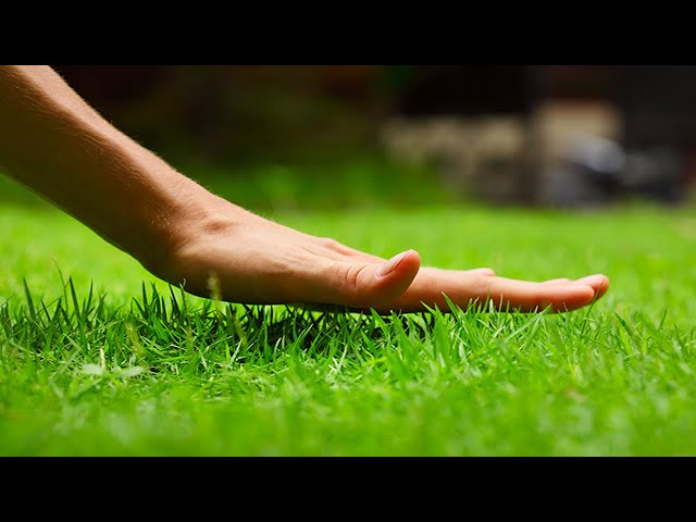 Touching Grass Tutorial 