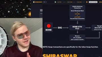 no fud: Shibaswap Basics 2; Bury for the Bones
