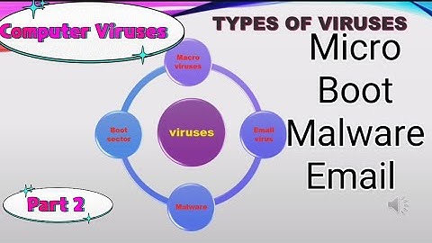 computer virus | types of computer virus 🦠🦠|Micro and Boot sector virus