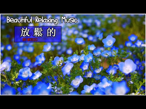 早安 台灣古典音樂 放鬆心靈音樂 放鬆音樂你必須享受 Beautiful Saxophone Music