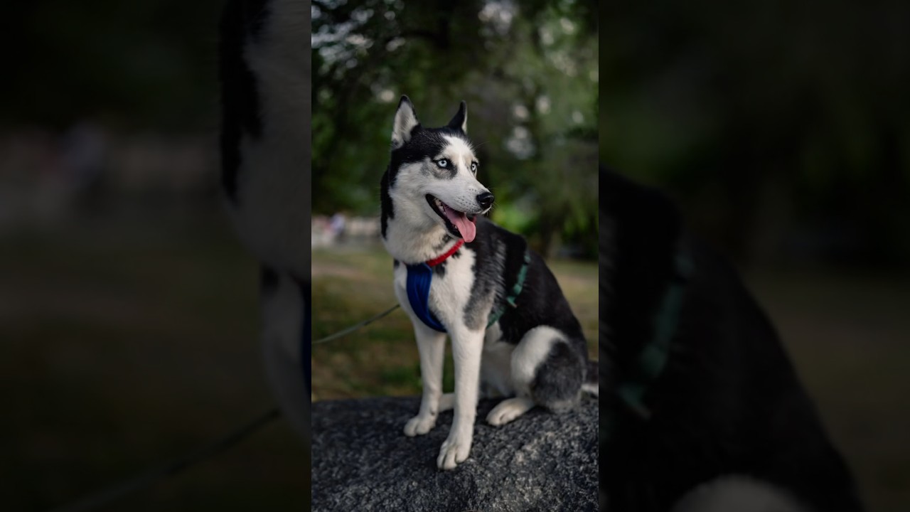 Джейн и её невероятные глаза ❄ 