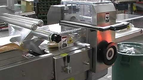 Delfin Carina 450 Flow Wrapper Packaging a Variety of Bread