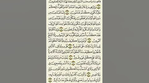 سورة العنكبوت من الآية ١٥ إلى الآية ٢٣بصوت القارئ ماهر المعيقلي