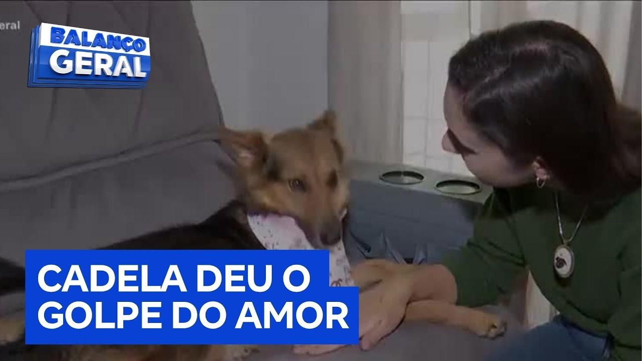 Casal adota cadela grávida após 'golpe do amor' durante viagem para Campos do Jordão (SP)