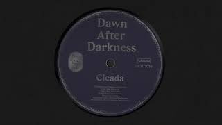 Cicada - Dawn After Darkness