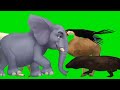 Green screen animals crossover , फनी कार्टून वीडियो! Animal stampede green screen video ¡ #cartoon