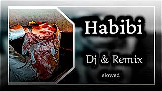 dj gimi-o x habibi (albanian remix) (lyrics-slowed