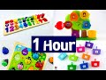 Ultimate preschool educational learning for toddlers  teach kids to count numbers colors