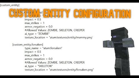 How to setup custom entity(1.16.5)