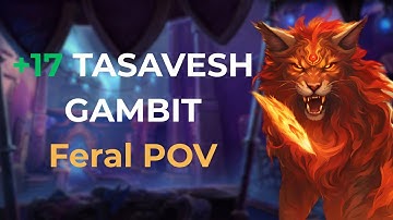 Tazavesh the Veiled Market +17, Druid Feral POV | Chill route, chill key !