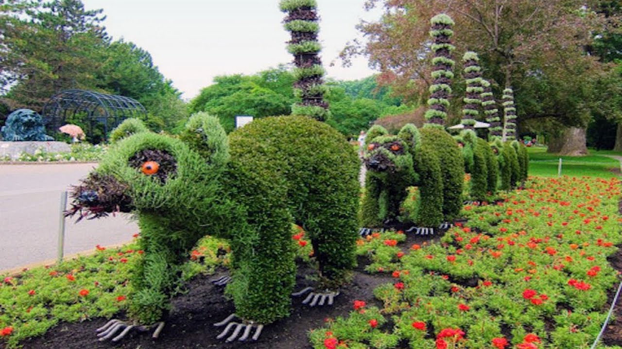 كيفية صنع تماثيل نباتات الحدائق