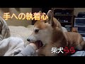 手への執着心