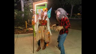 Five Things to Know for Boo at the Zoo 🎃