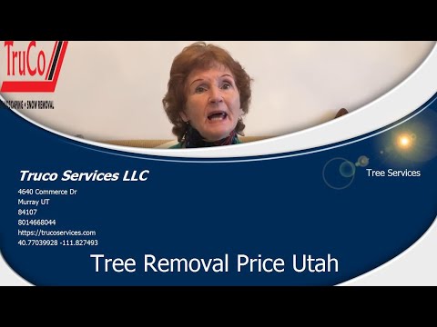 Storm Clean Up Hyde Park Utah