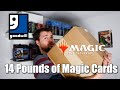 Massive Magic The Gathering Goodwill RANDOM BUY! Collection? Or Bulk? 14 Pounds of Magic Cards!