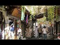 عنبك ياشام دوالي صور جديدة 2025 رفيق سبيعي