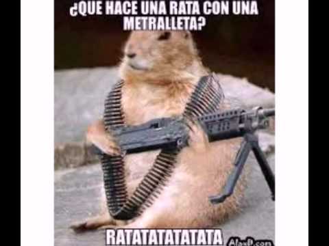 Imagenes Chistosas Bayuncas | chistes imagenes bayuncas youtube Imagenes Chistosas Bayuncas | chistes imagenes bayuncas youtube