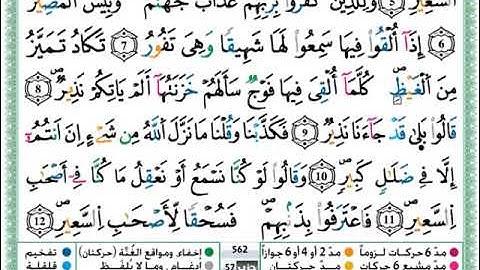 سورة الملك حمزة الجزائري برواية ورش عن نافع