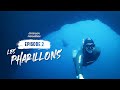 En apne dans les calanques marseillaises  episode 2  les pharillons