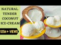 NATURAL TENDER COCONUT ICE-CREAM