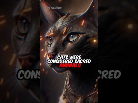 Egypt's sacred cats.😳😺