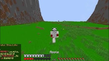 MineZ - Yeah, I definitely am hacking.