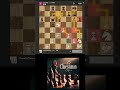 If isn’t this every knight lover dream the what is? #chess #trending #viral #shorts #love