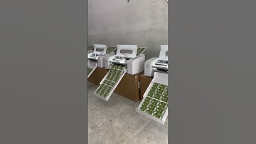 máy cắt tem T350 Tín Phát