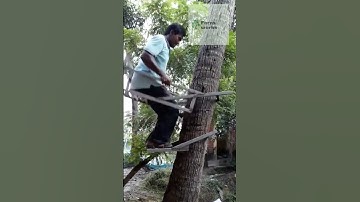 Chế công cụ leo dừa